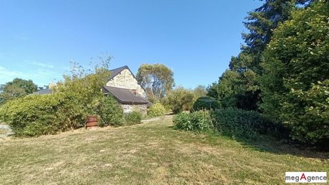 photo no. 9
