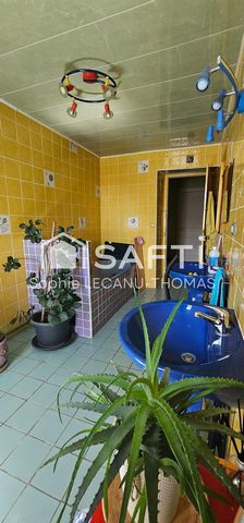 photo no. 10