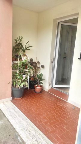 photo no. 9