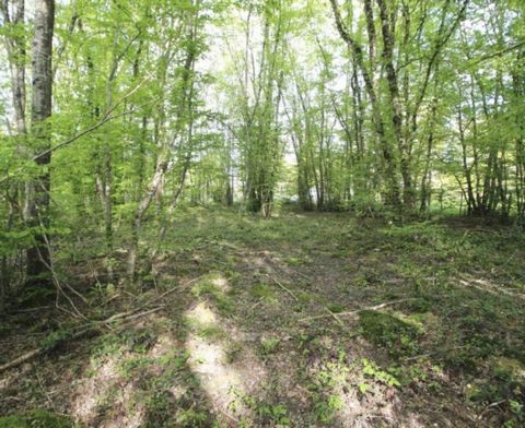 Terrain constructible de 2312m²