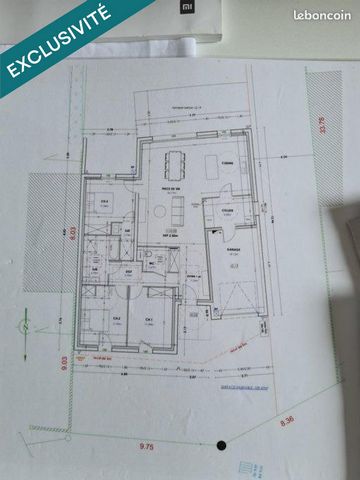 photo no. 7