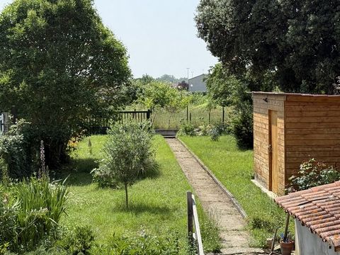 photo no. 15