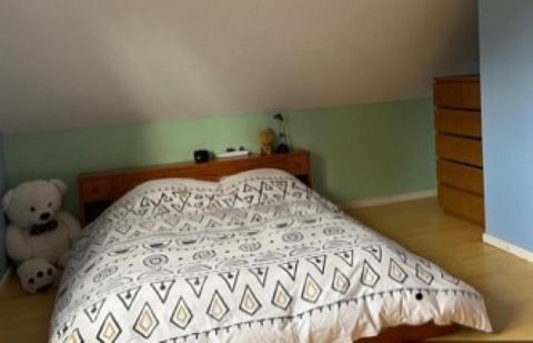 photo no. 8
