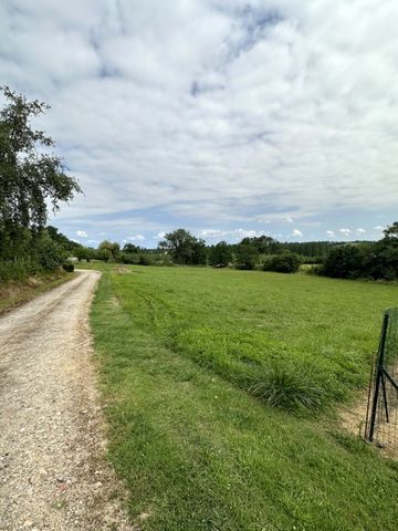 photo no. 5
