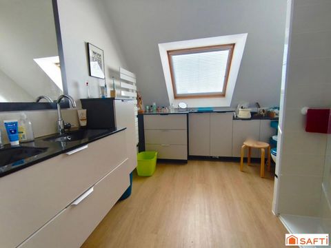 photo no. 10