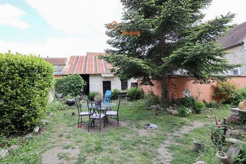 photo no. 13