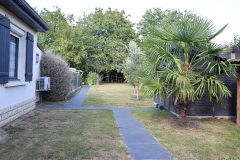 photo no. 9