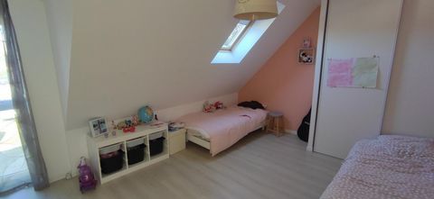 photo no. 5