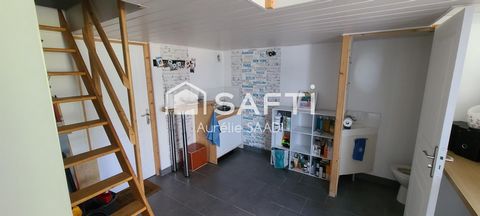 photo no. 10