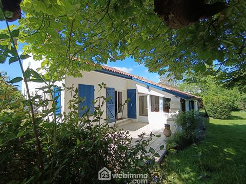 photo no. 13