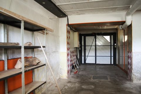 photo no. 8
