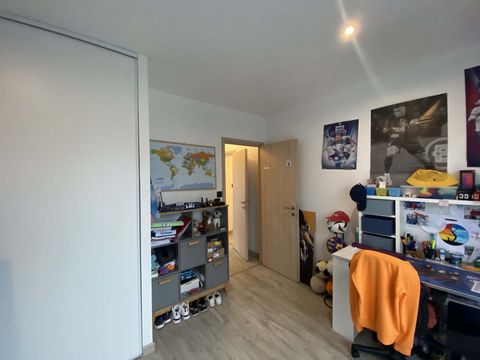 photo no. 15