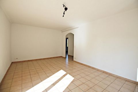 photo no. 6