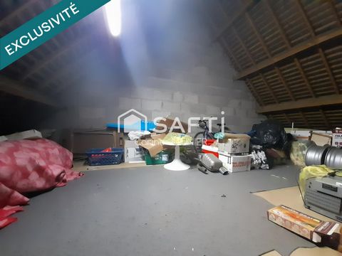 photo no. 15