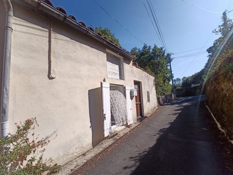 photo no. 9