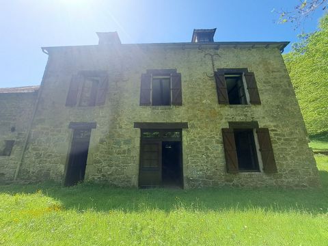 photo no. 17