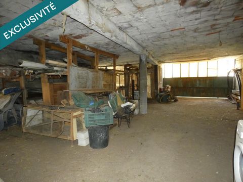 photo no. 12