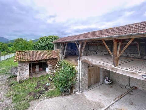 photo no. 10