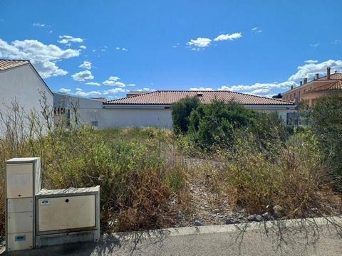 photo no. 3