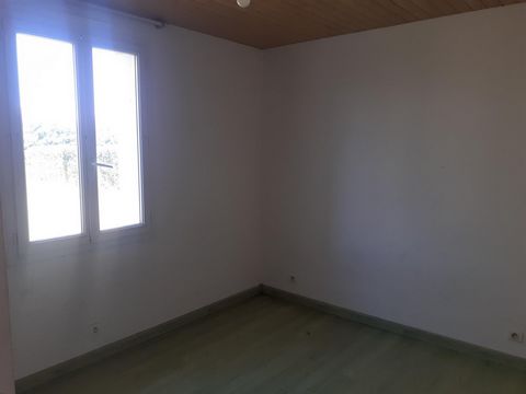 photo no. 5
