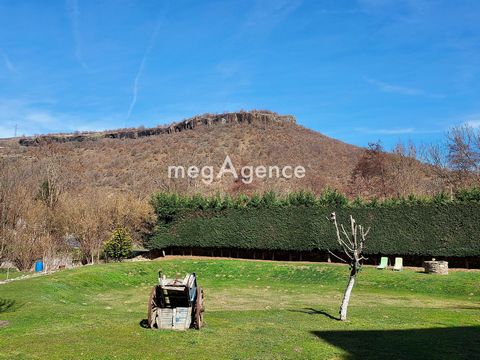 photo no. 8