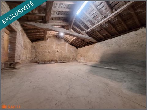photo no. 13