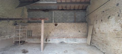 photo no. 9