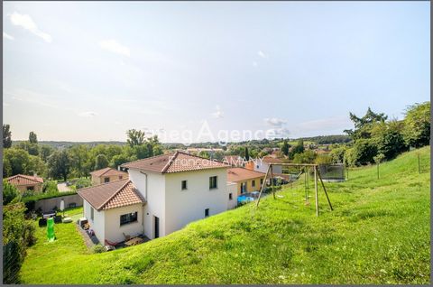 photo no. 10