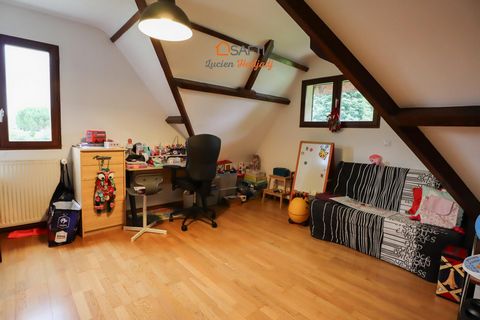 photo no. 15