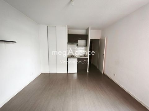 photo no. 6