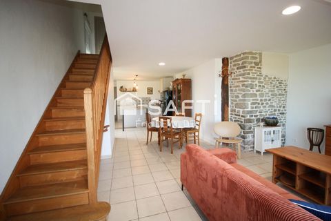 photo no. 17