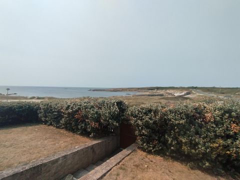 photo no. 4