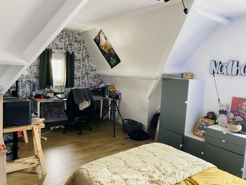 photo no. 8