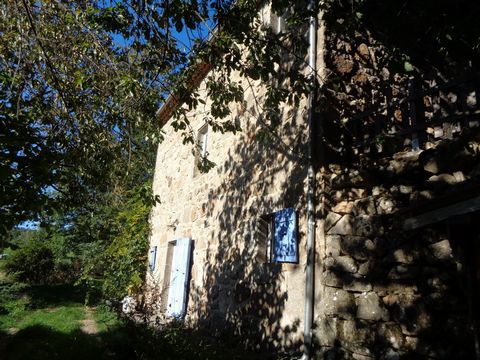 photo no. 19
