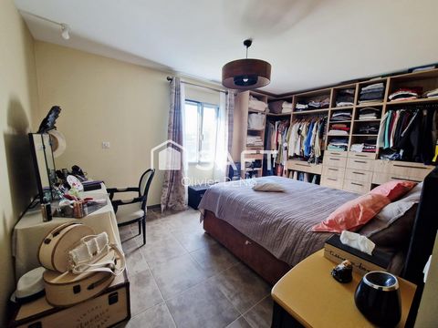 photo no. 8