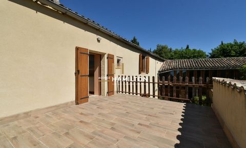 photo no. 9