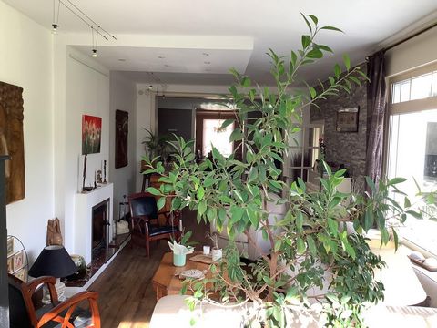 photo no. 3