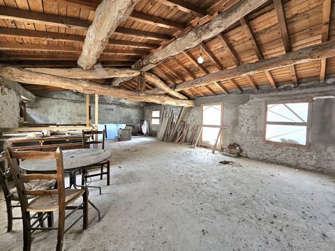 photo no. 1