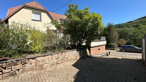 photo no. 6