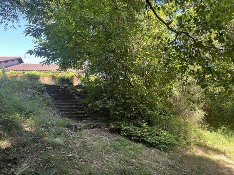 photo no. 16
