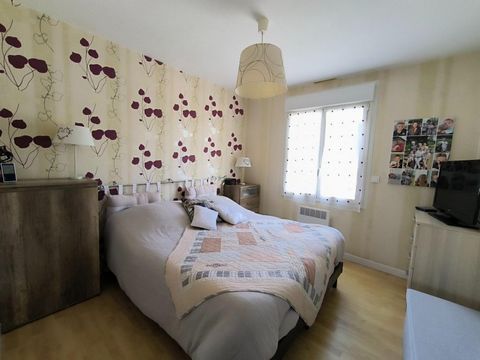 photo no. 11