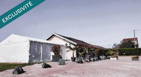 photo no. 13