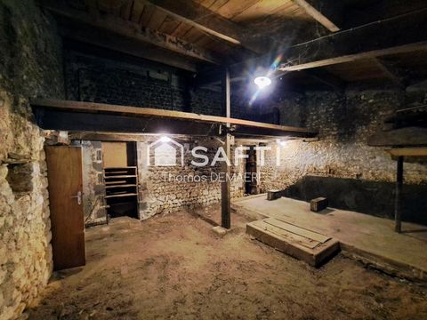 photo no. 13