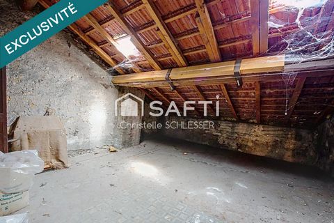 photo no. 14