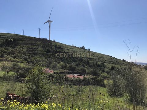 Terrain de 19440 m2, à Fanhões, destiné à l'agriculture et à l'élevage, avec autorisation pour les bâtiments liés à l'agriculture et à l'élevage. Un ruisseau traverse le terrain. Si vous recherchez le contact avec la nature tout en développant votre ...