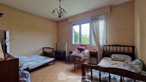 photo no. 11