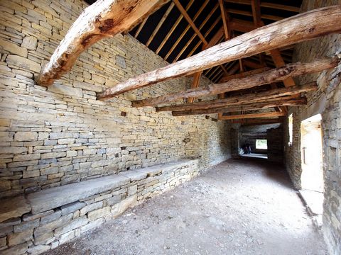 photo no. 17