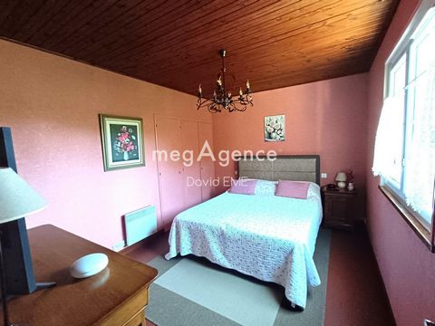 photo no. 10
