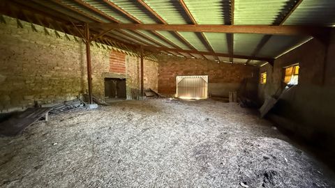 photo no. 17