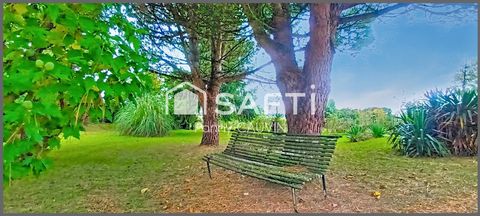 photo no. 13
